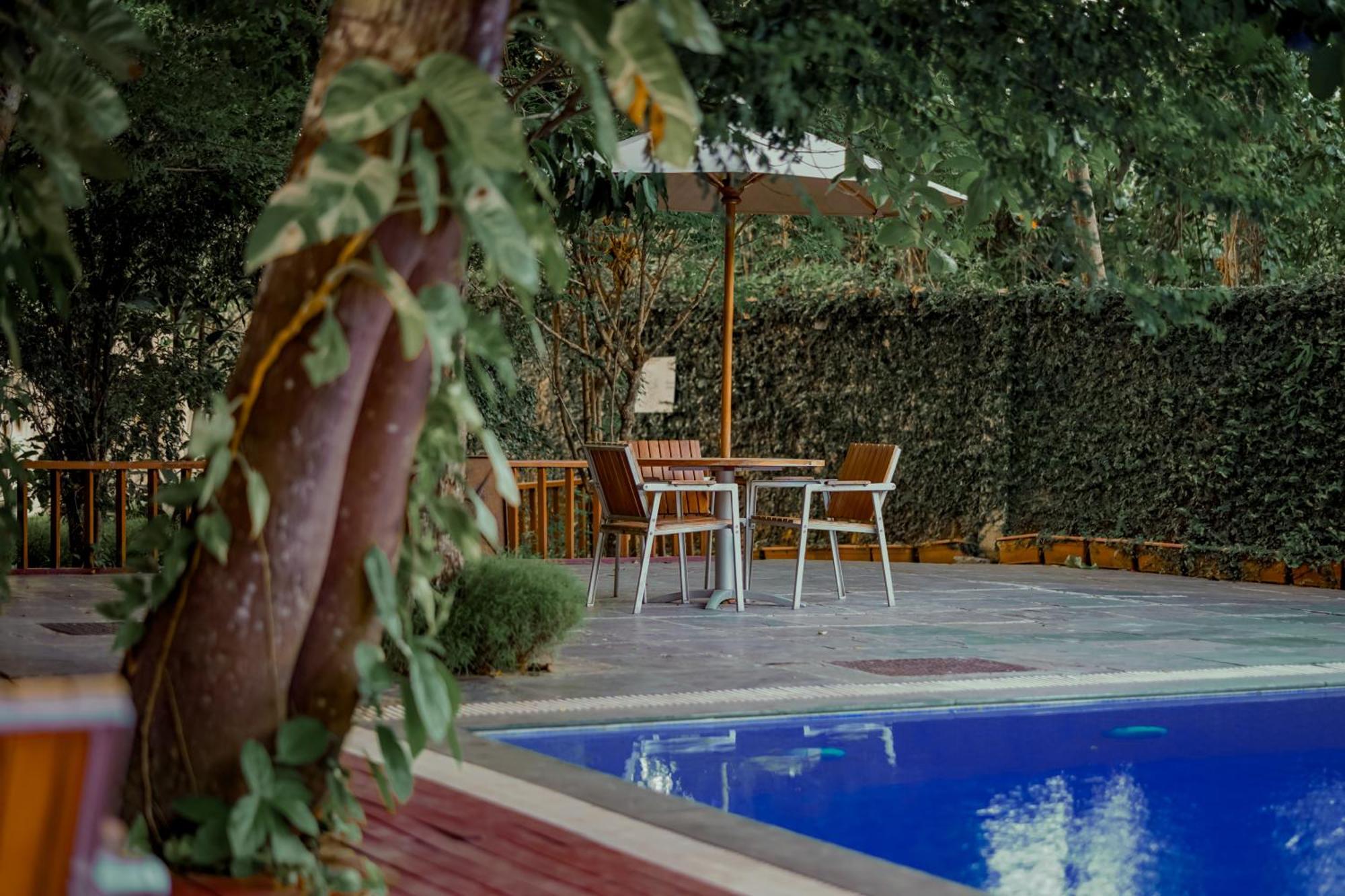 De Foret Elephant Beach Экстерьер фото