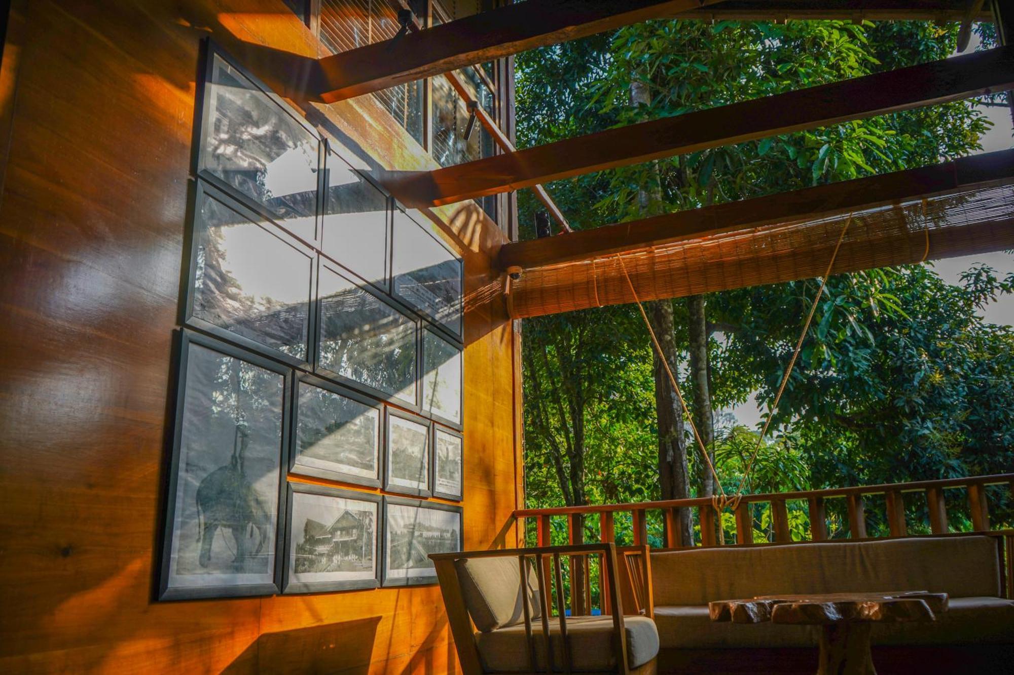 De Foret Elephant Beach Экстерьер фото