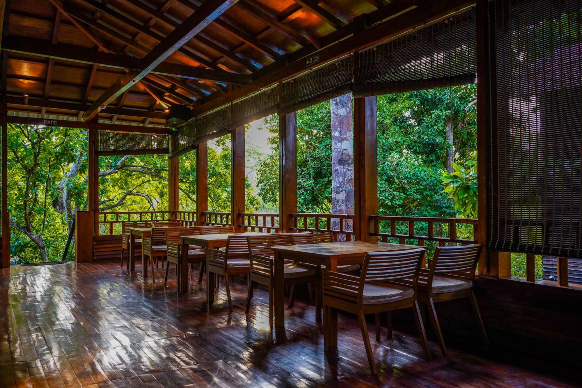 De Foret Elephant Beach Экстерьер фото