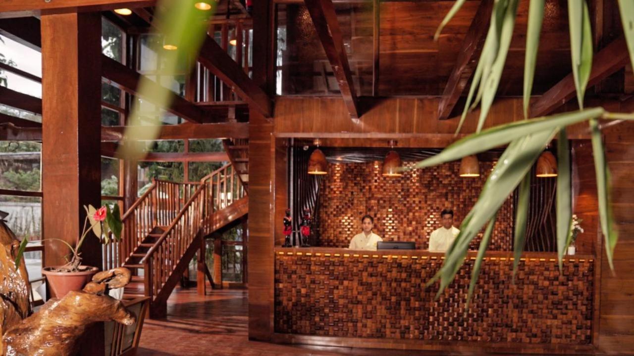 De Foret Elephant Beach Экстерьер фото